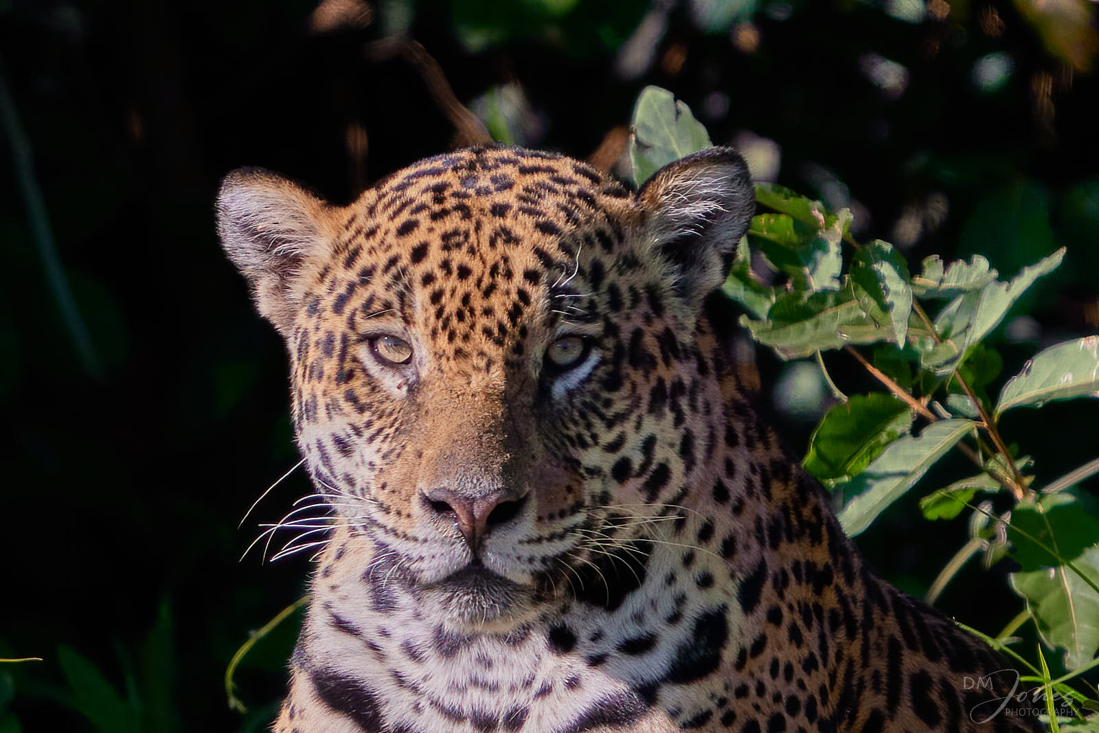 Z82_5405.jpg